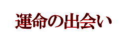 運命の出会い