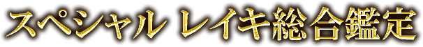 スペシャル　レイキ総合鑑定